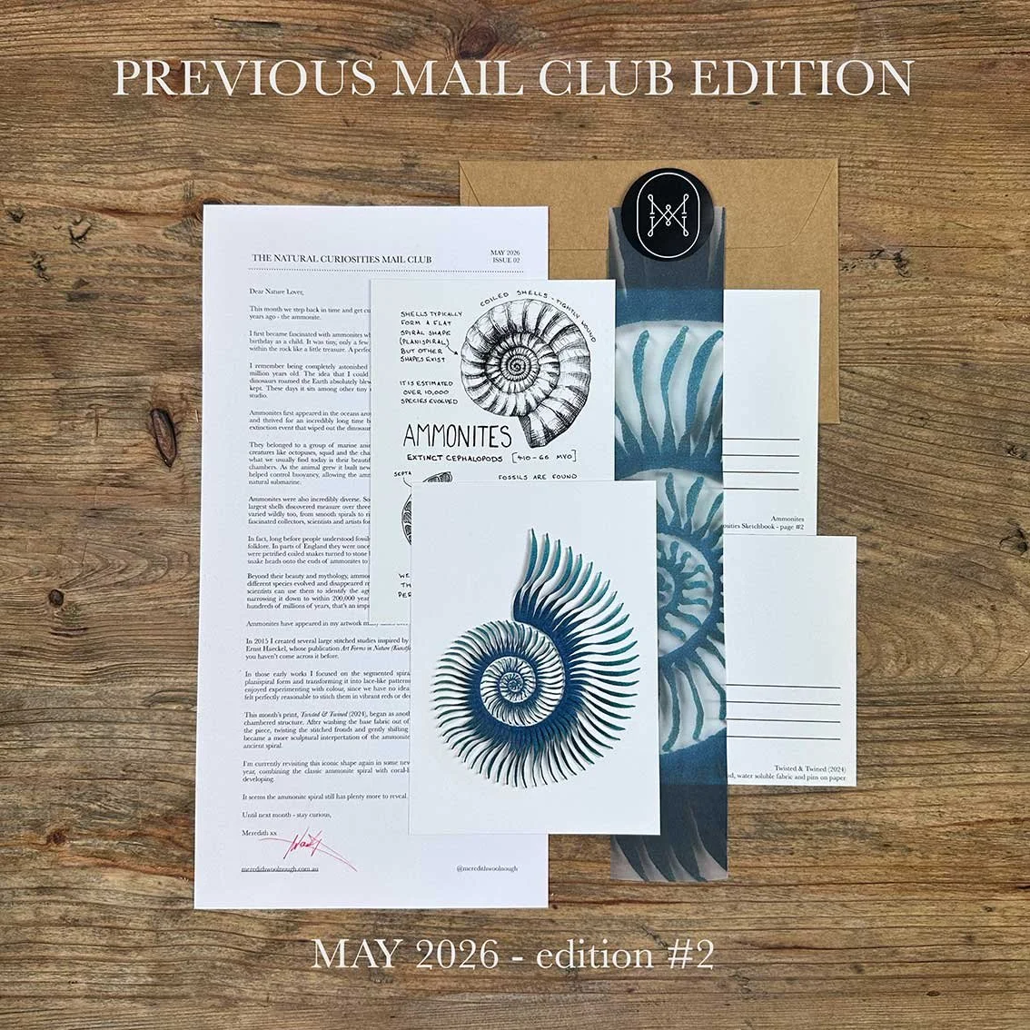 May-ammonites-previous.jpg