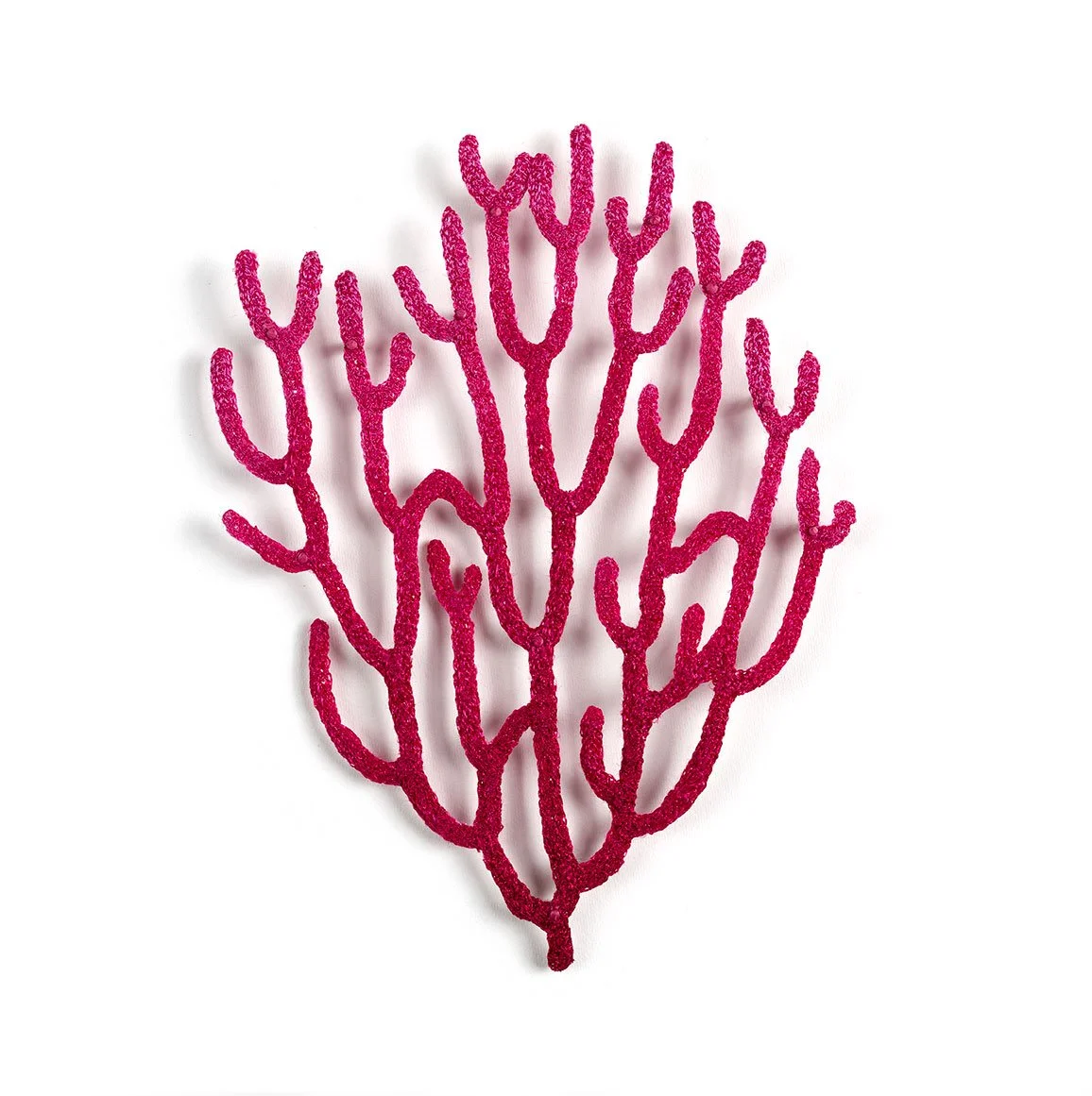 Acabaria-Coral-Frag-front-web.jpg