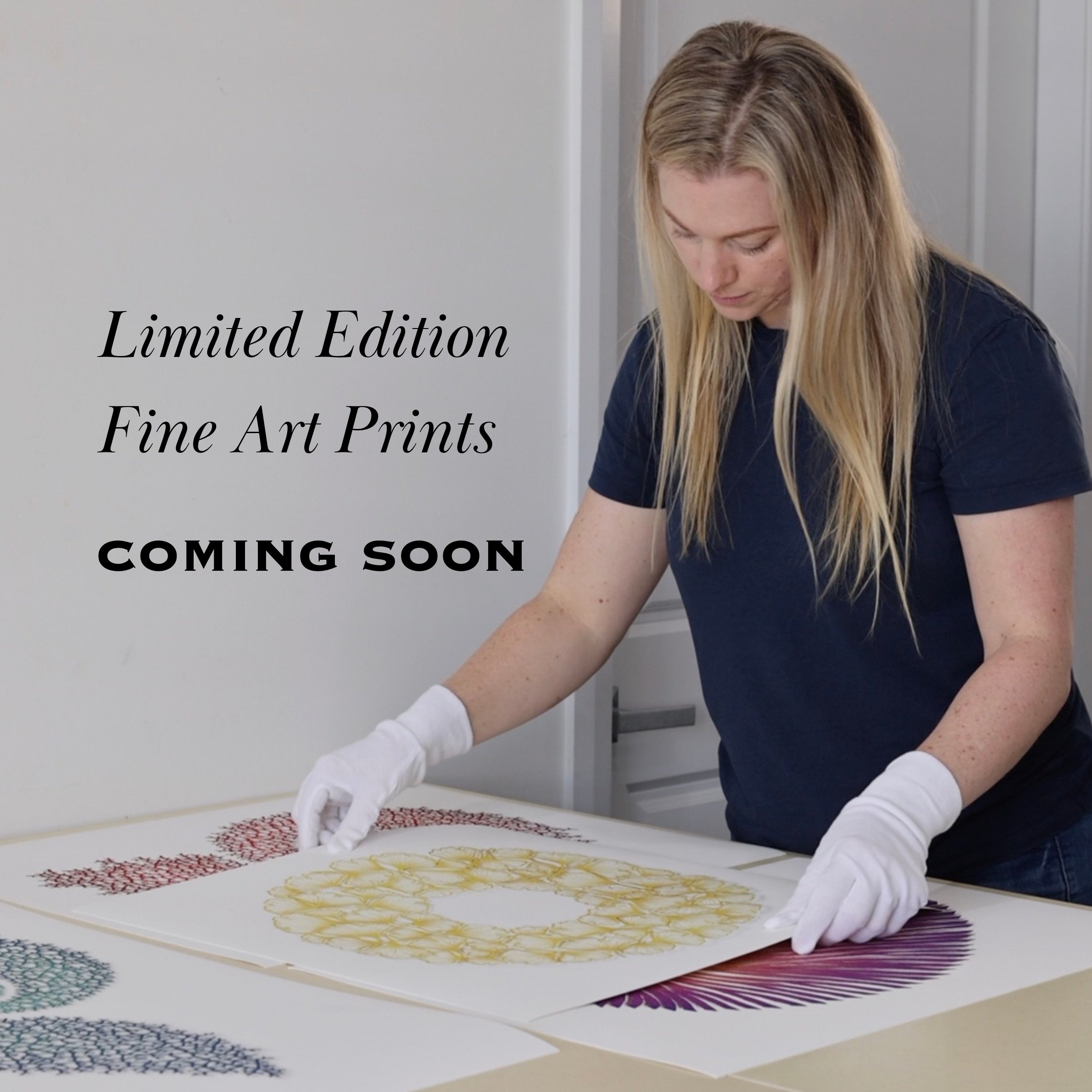Limited Edition Fine Art Prints.jpg