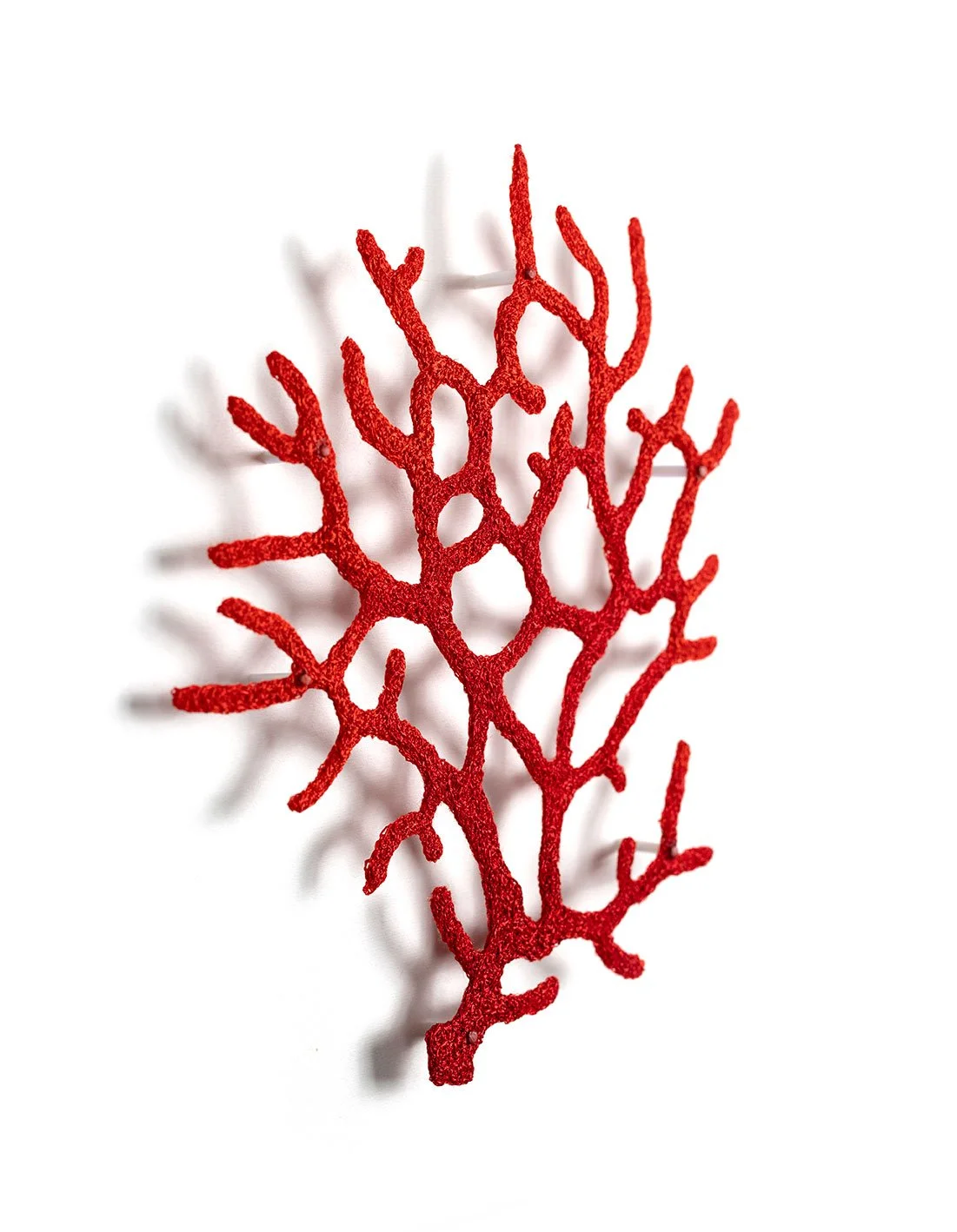 Wrightella-Coral-Frag-angle-web.jpg