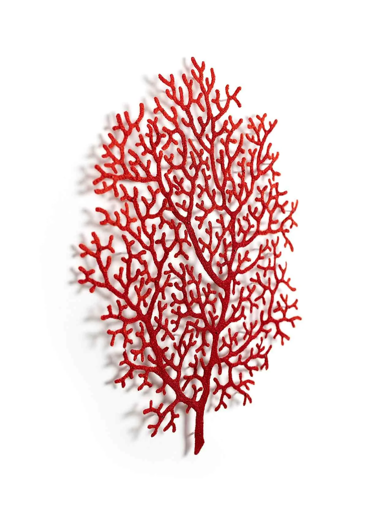 Twin-2-angle-web.jpg
