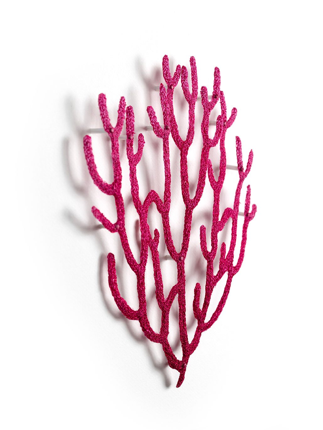 Acabaria-Coral-Frag-angle-web.jpg