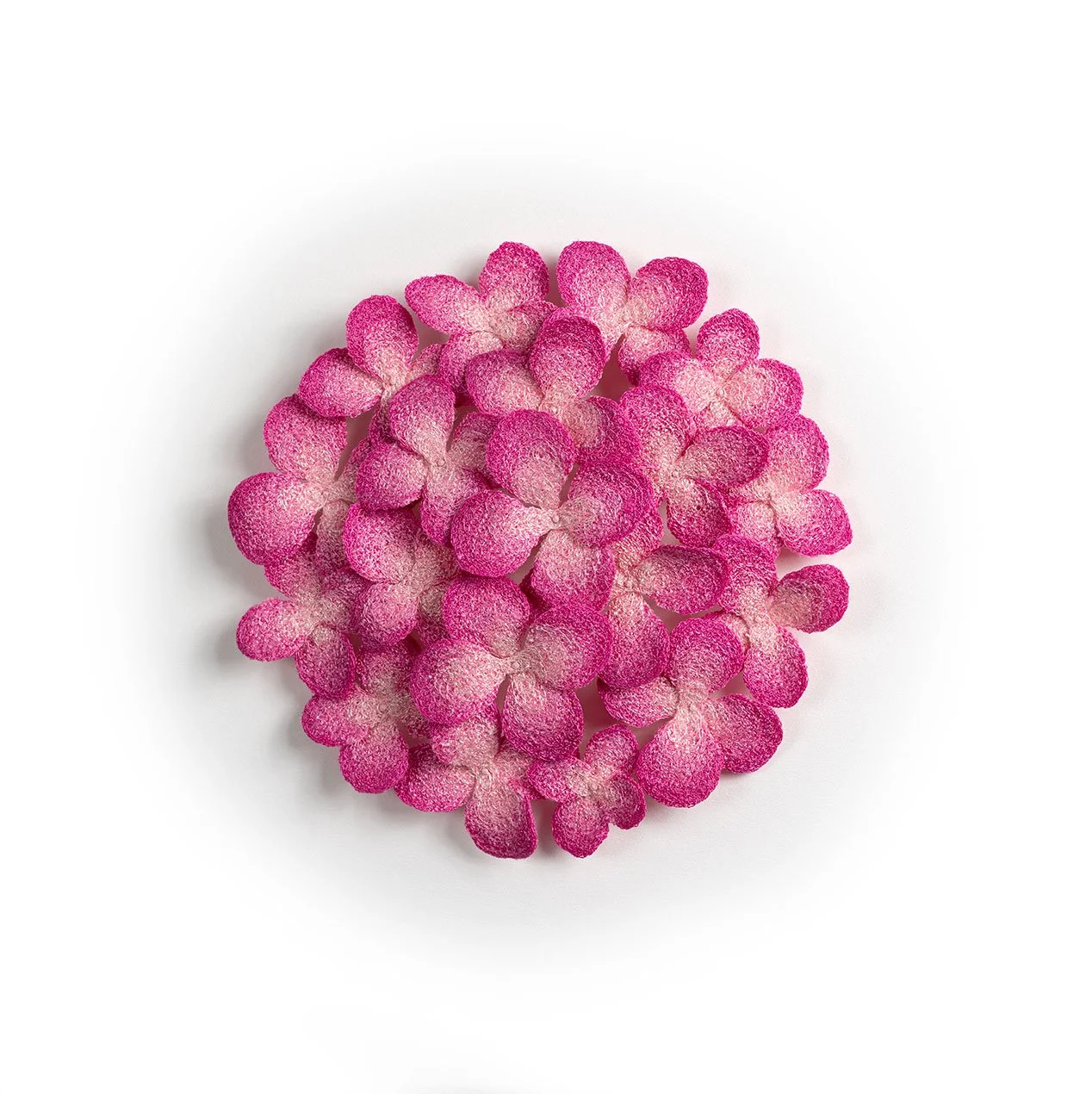 Pink-Hydrangea-front-web.jpg