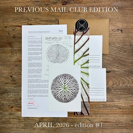 April-mail-club-previous.jpg