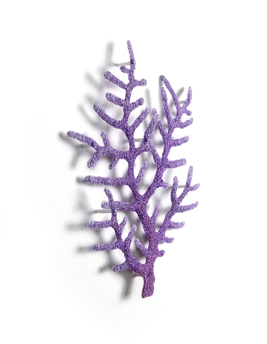 Plumigorgia-Coral-Frag-angle-web.jpg