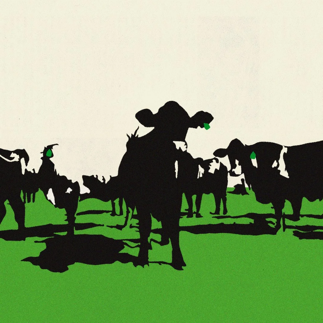 studyguide_illos2Artboard 8.jpg