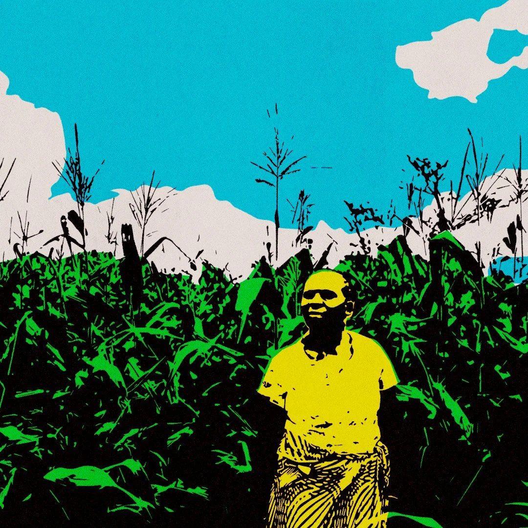 studyguide_illosArtboard 3.jpg