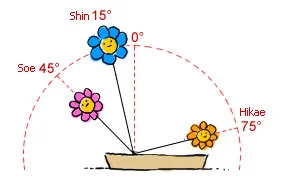 Measurements.jpg