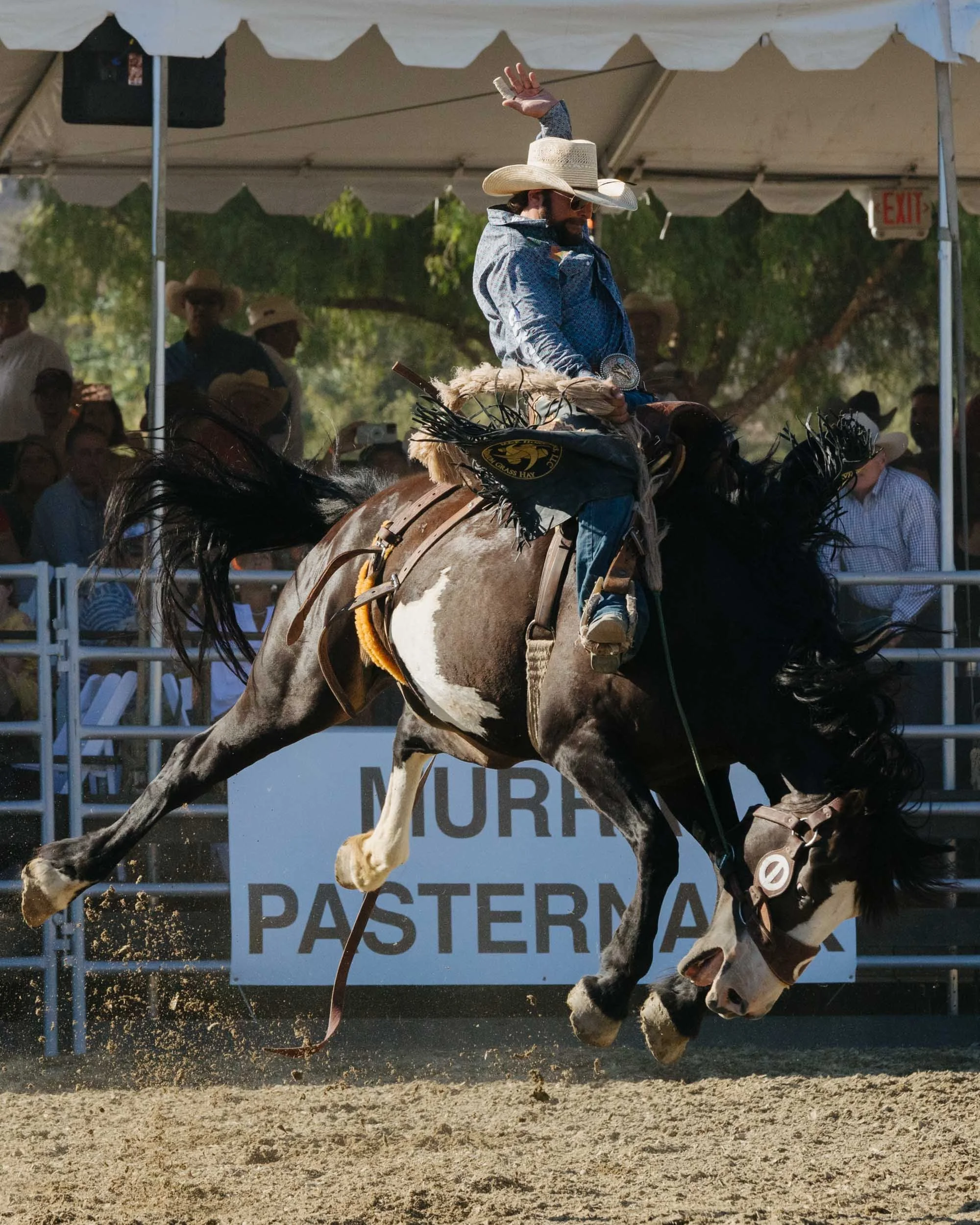 ZF Portrait RMV Rodeo-5.jpg