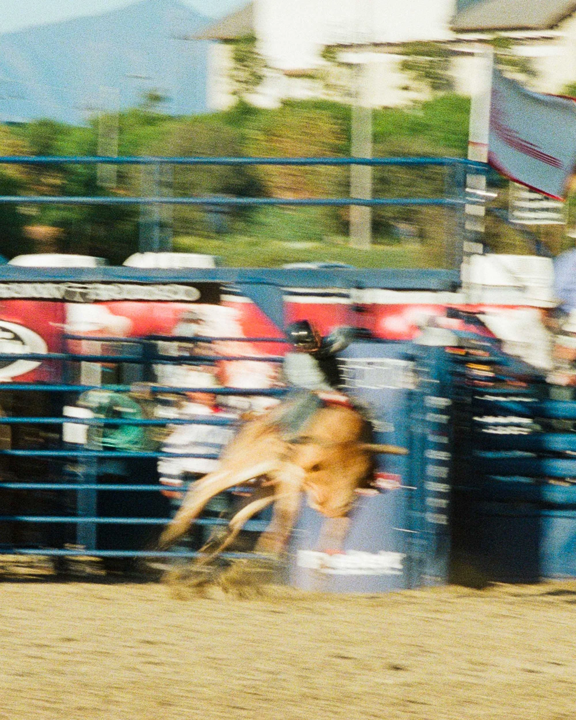 ZF Portrait RMV Rodeo-14.jpg