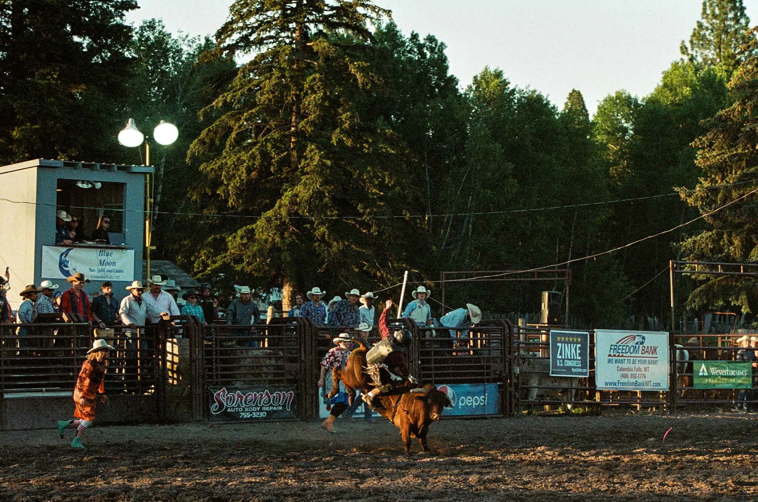 ZF Portrait MT Rodeo-3.jpg