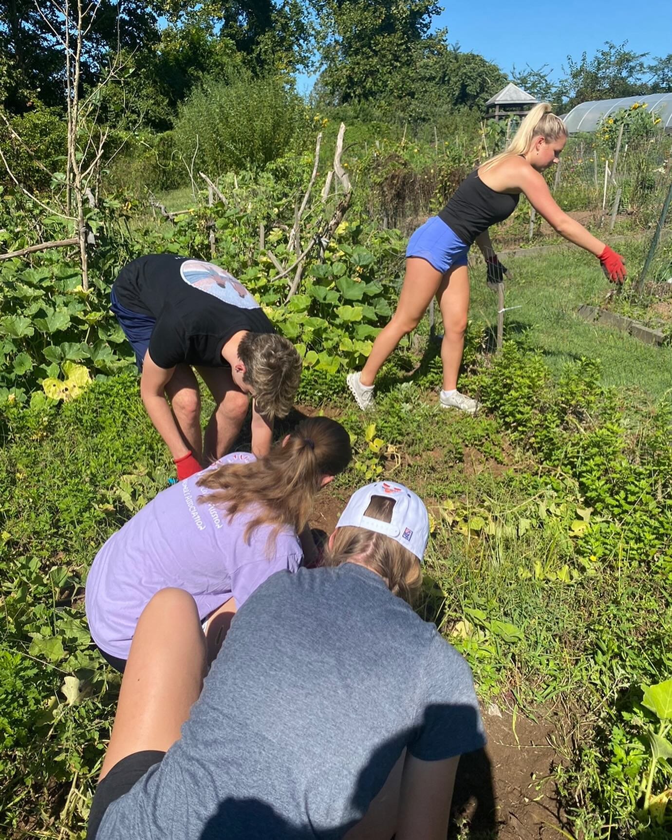 Lettuce celebrate @pvccgarden 🥬🍅🌻Flowers are not the only thing springing up as the weather turns warmer! Some seasonal Madison House programs, like @piedmontvacc Community Gardens picked up again after spring break ended in mid-March. The program