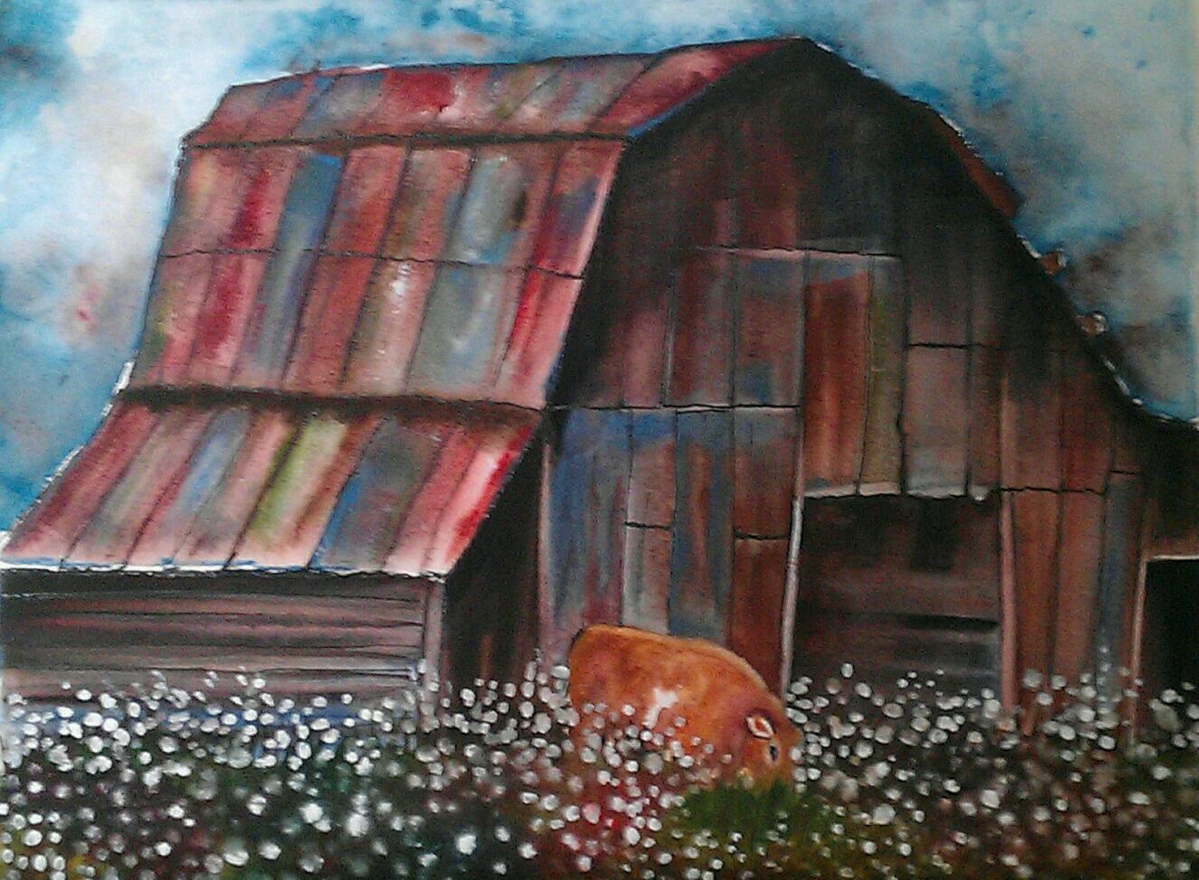 cow and cotton patch4.26.jpg
