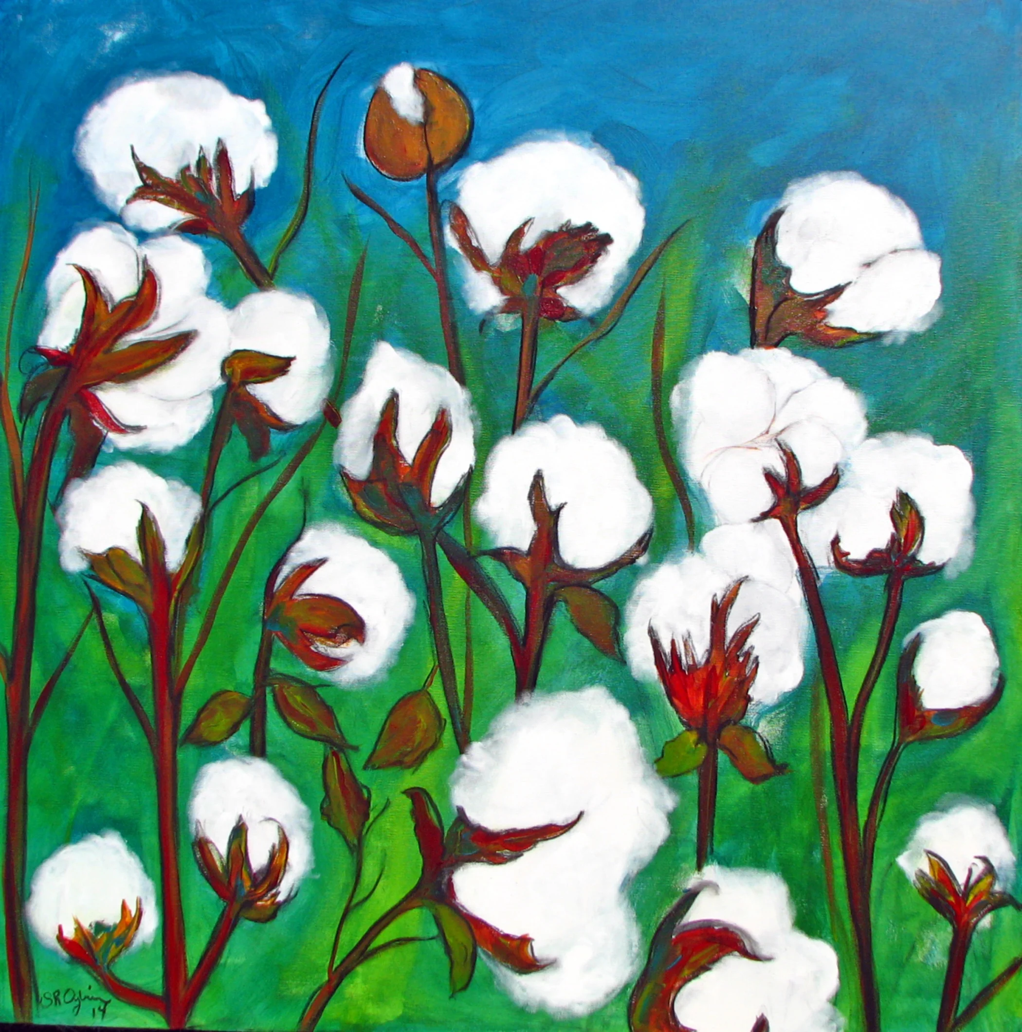 Belmont Cotton, 36 x 36" Gallery Wrap Canvas
