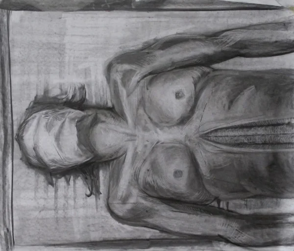 2013 &nbsp; Charcoal on Paper &nbsp; 44" x 44" 