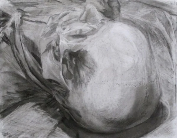  2013 &nbsp; Charcoal on Paper &nbsp; 44" x 44" 