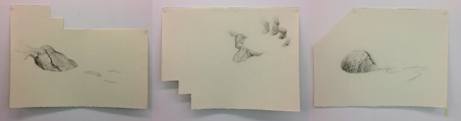 (Un)Favorable Situations