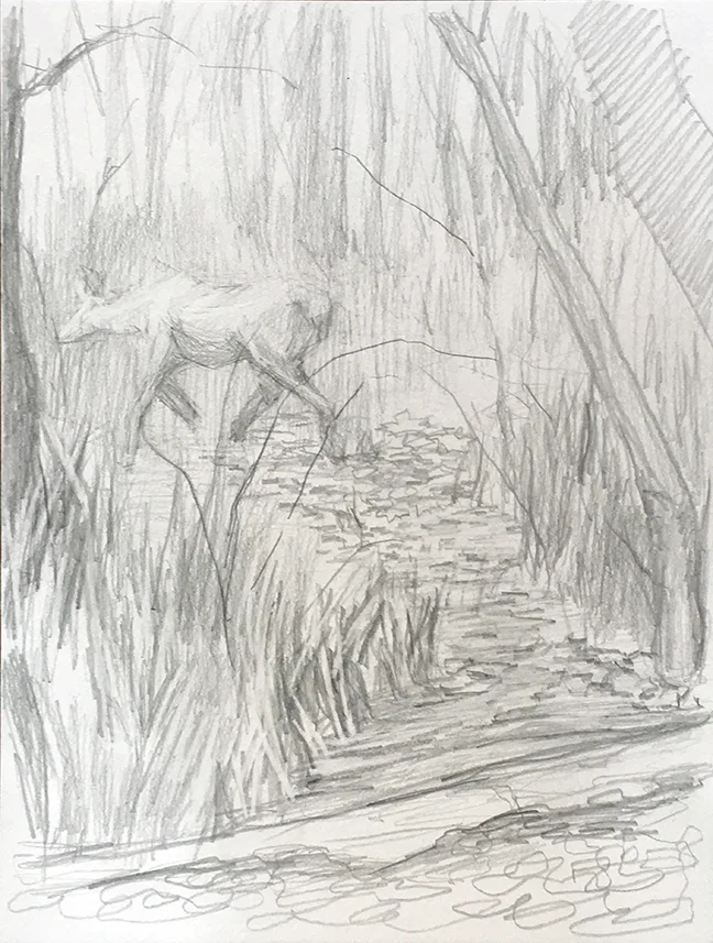 Graphite on Paper 2017