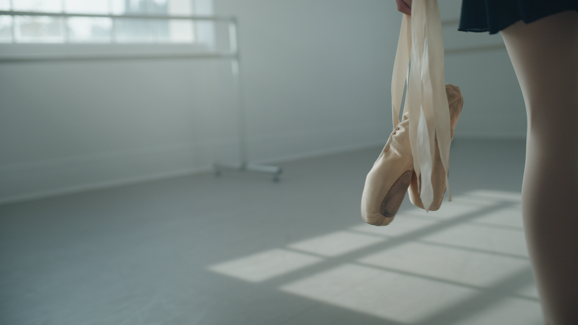 Dept. of Premier and Cabinet - A Roadmap for WA