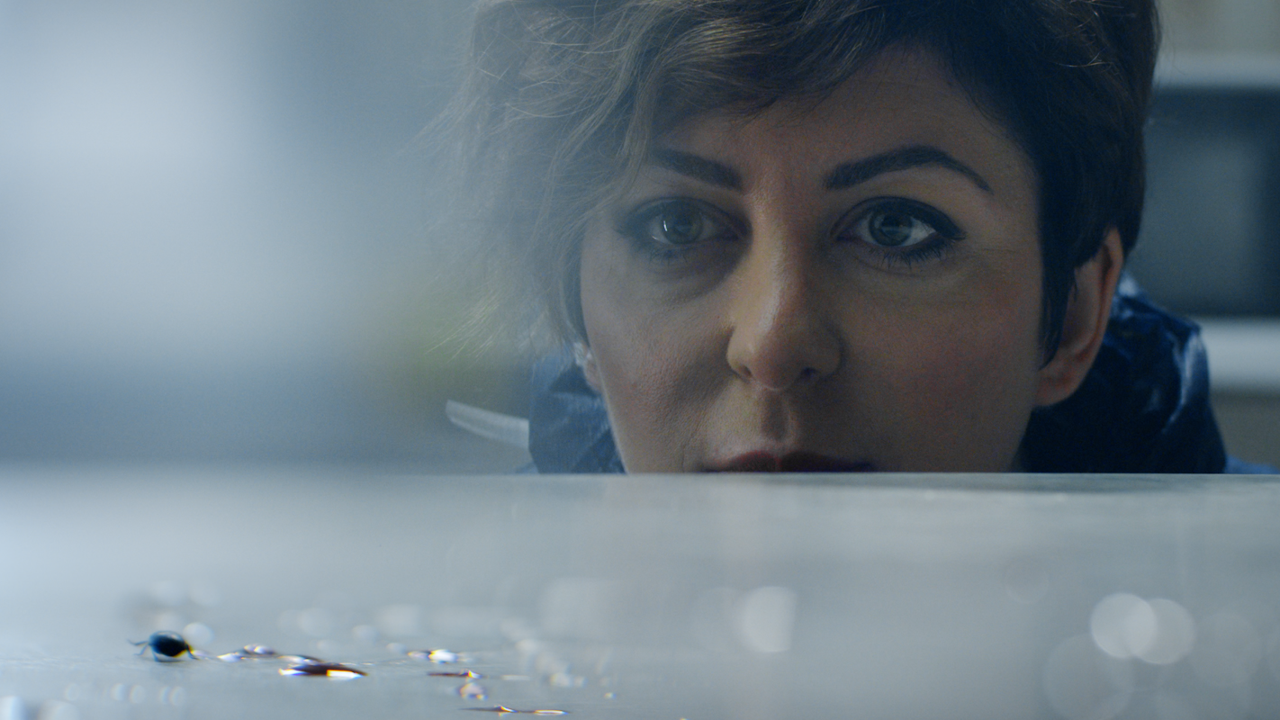 Murdoch - This is Free Thinking