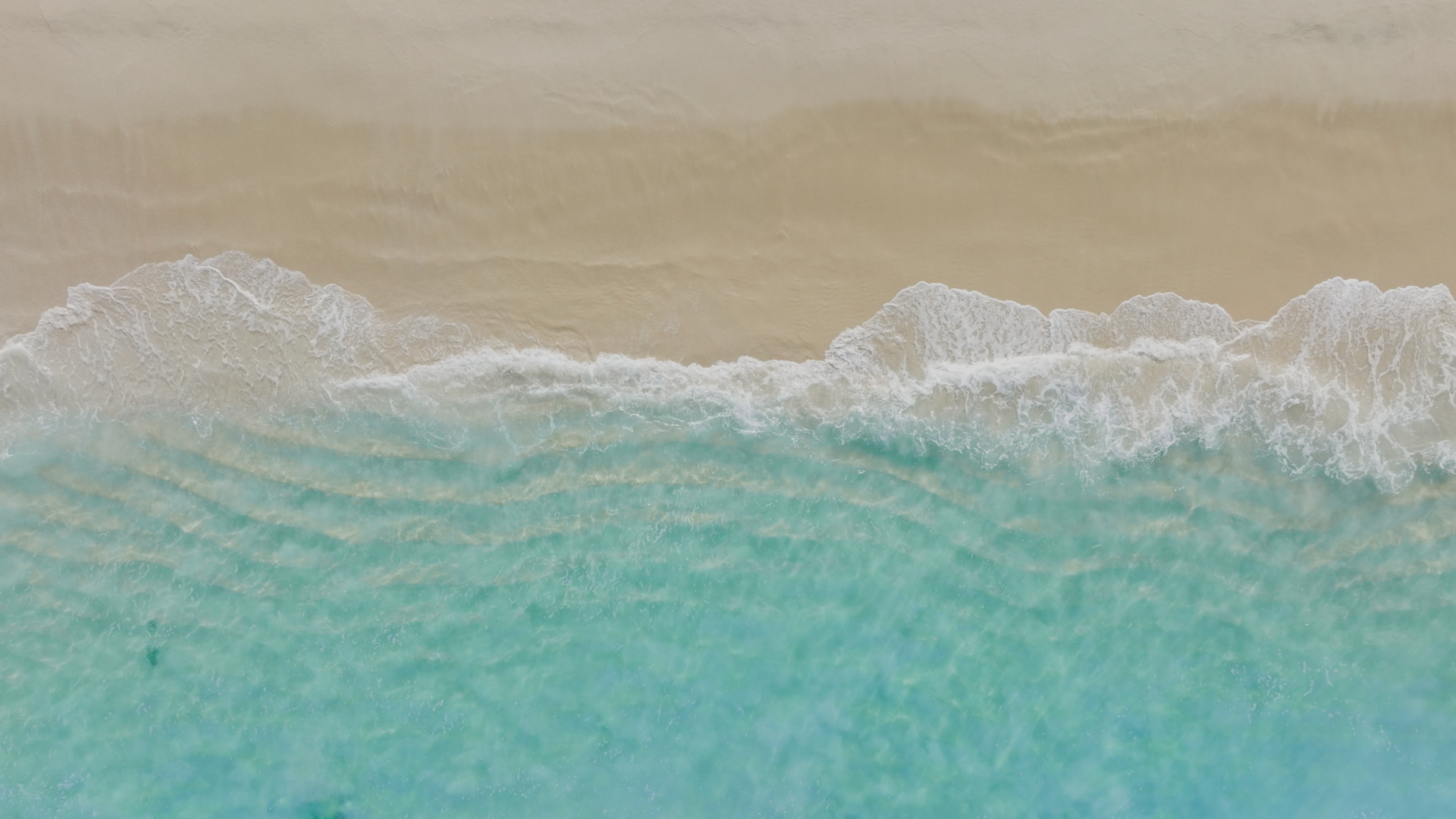 The Dunes - Vision Film