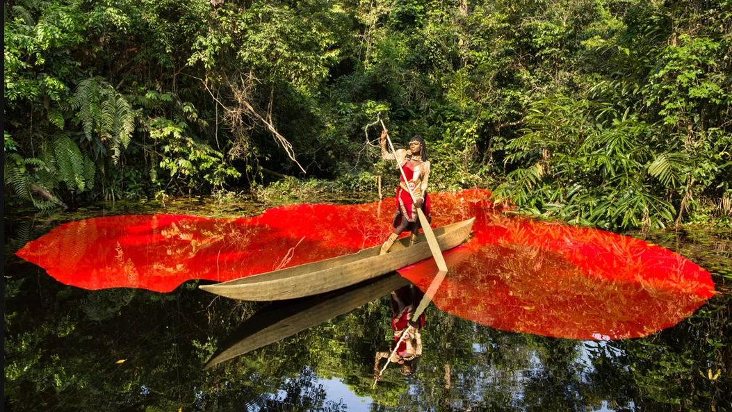 Experiment 1a -- Dragonfly