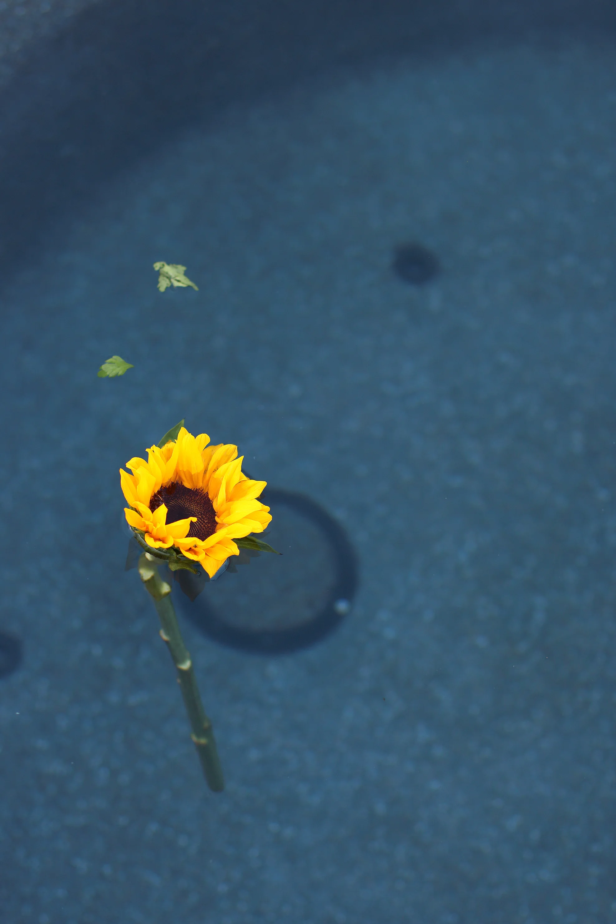 DPP07E20614011226.jpg