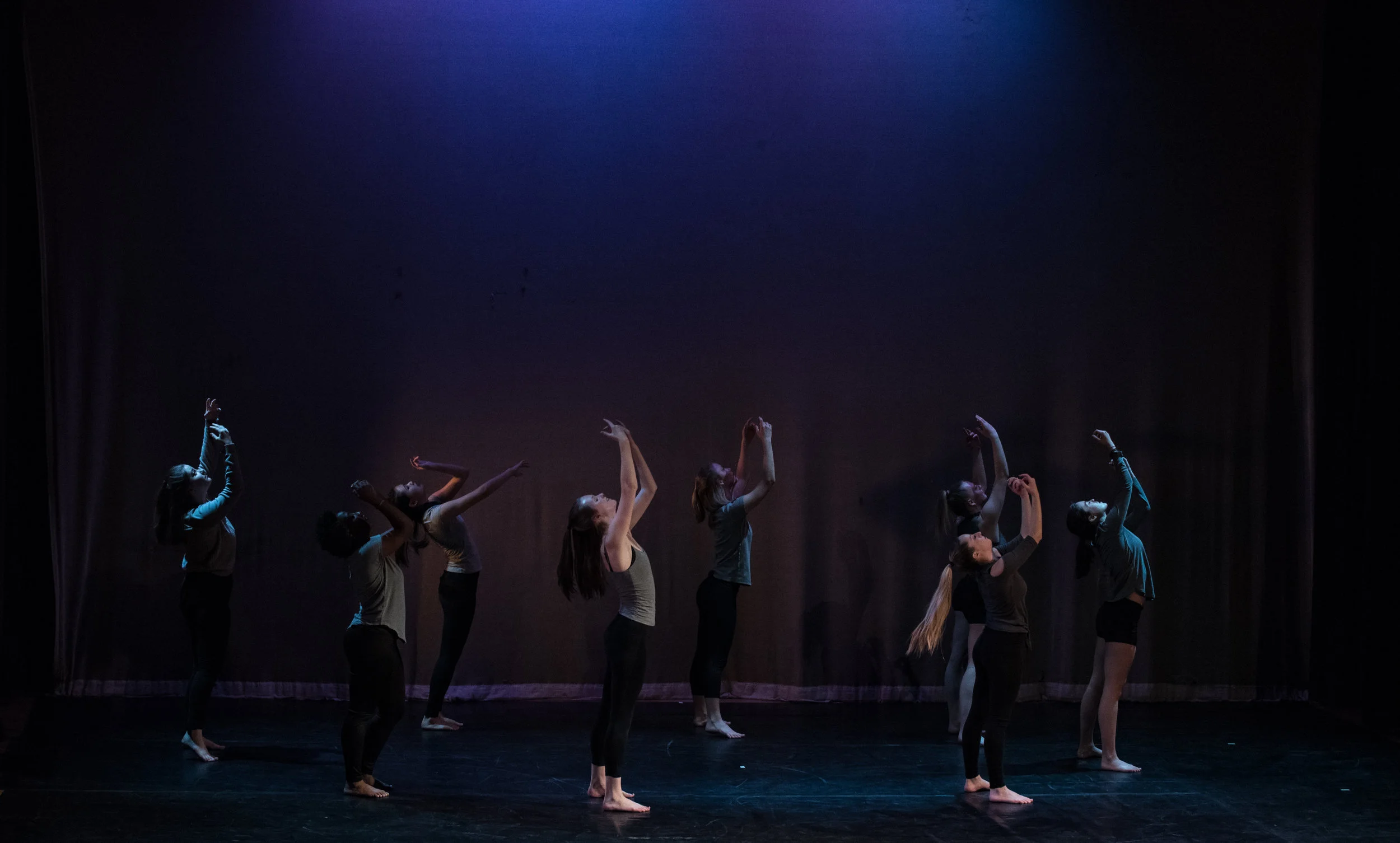 SCDC Raising the Barre-19.jpg