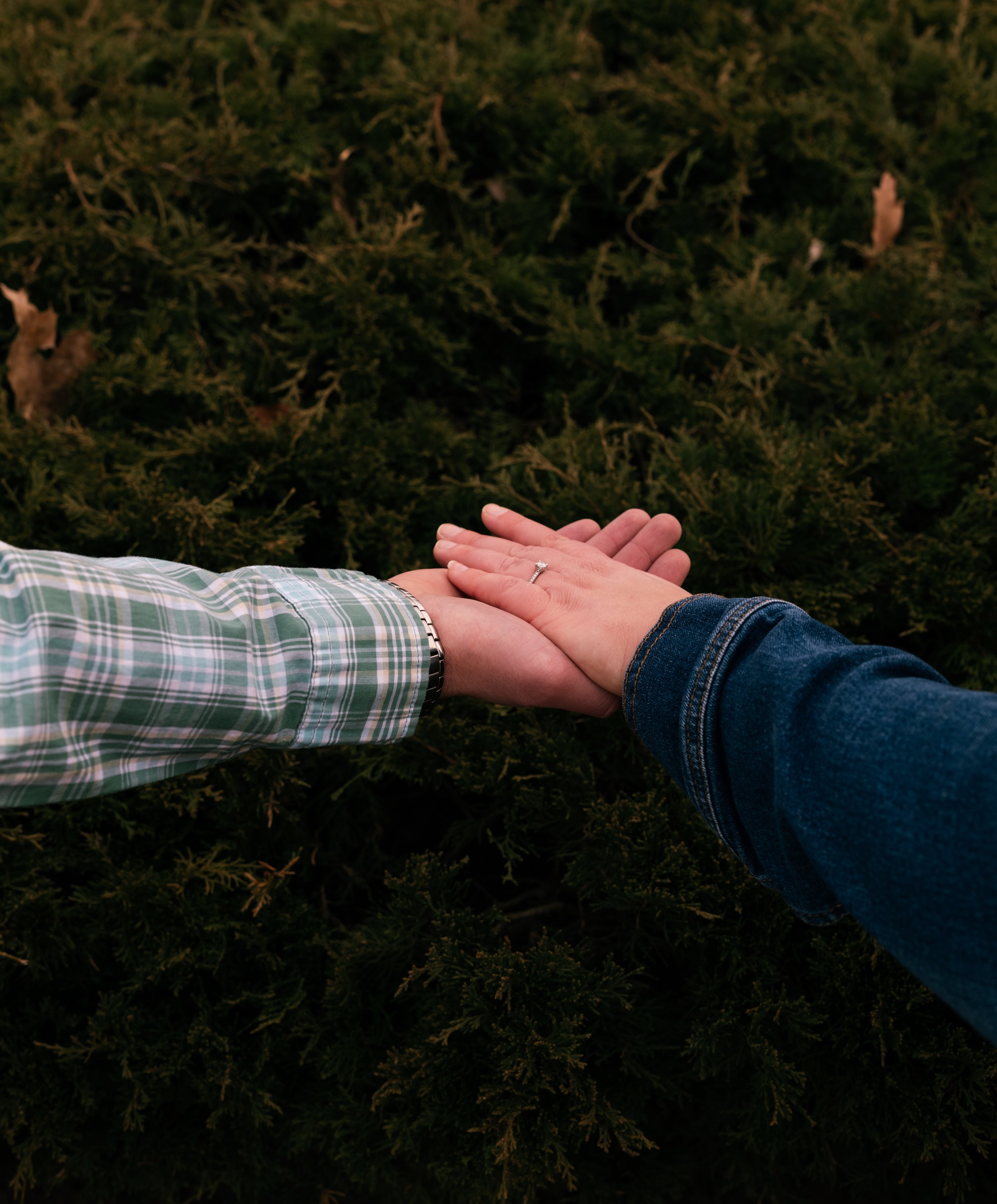 Anthony and Lauren - Engagement-1060082.jpeg