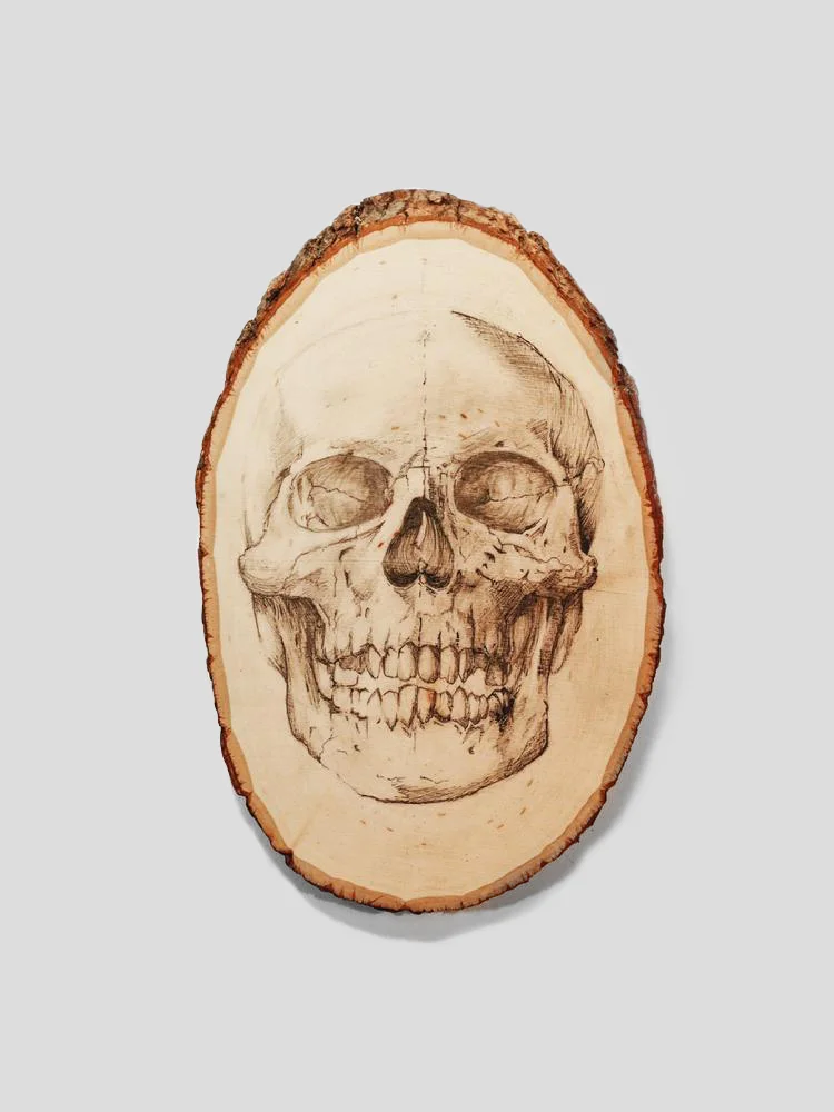 Anatomical Skull Art