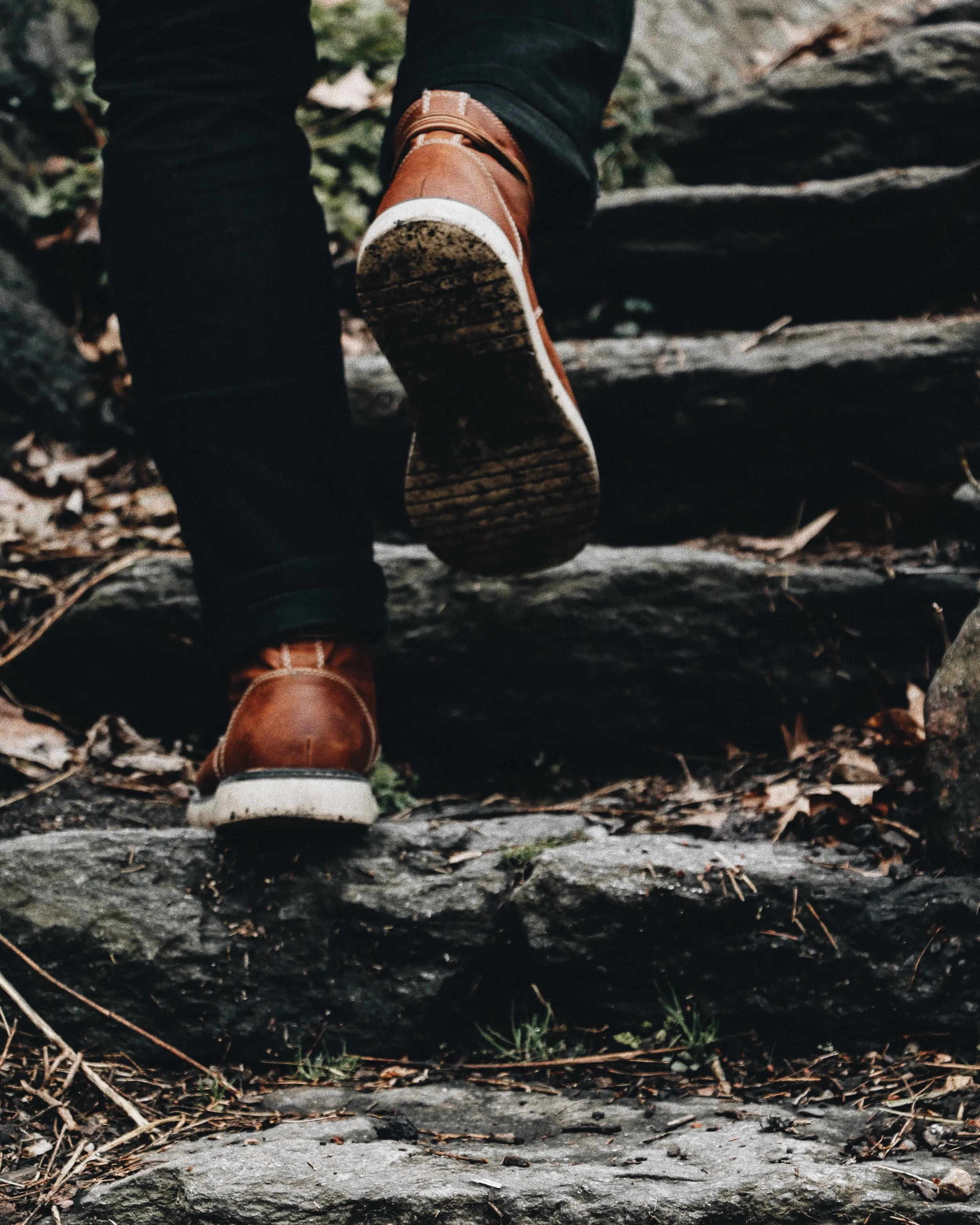 IMG_7937 (1).JPG