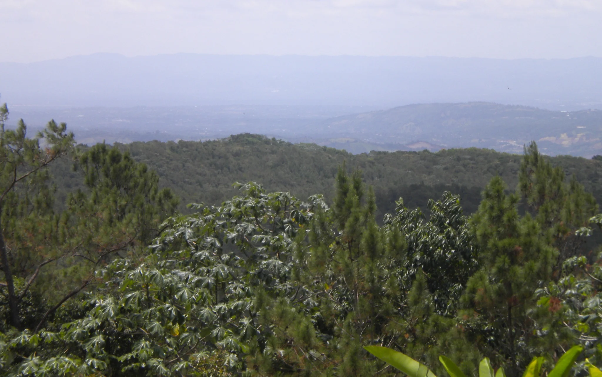 Vista1.jpg
