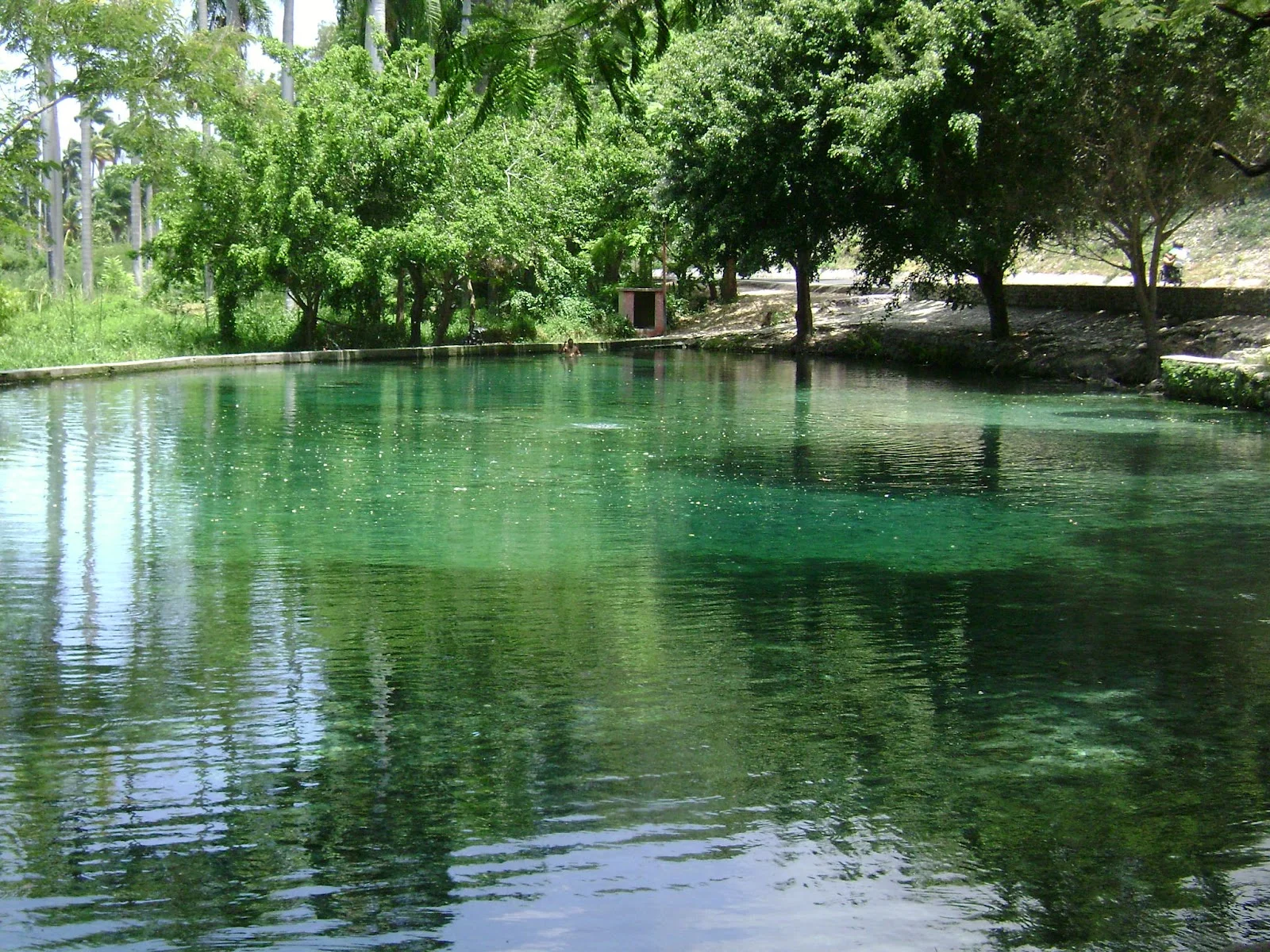 DSC00824.jpg