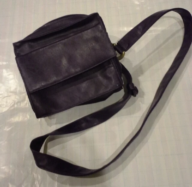 Sheer fun purse.jpeg