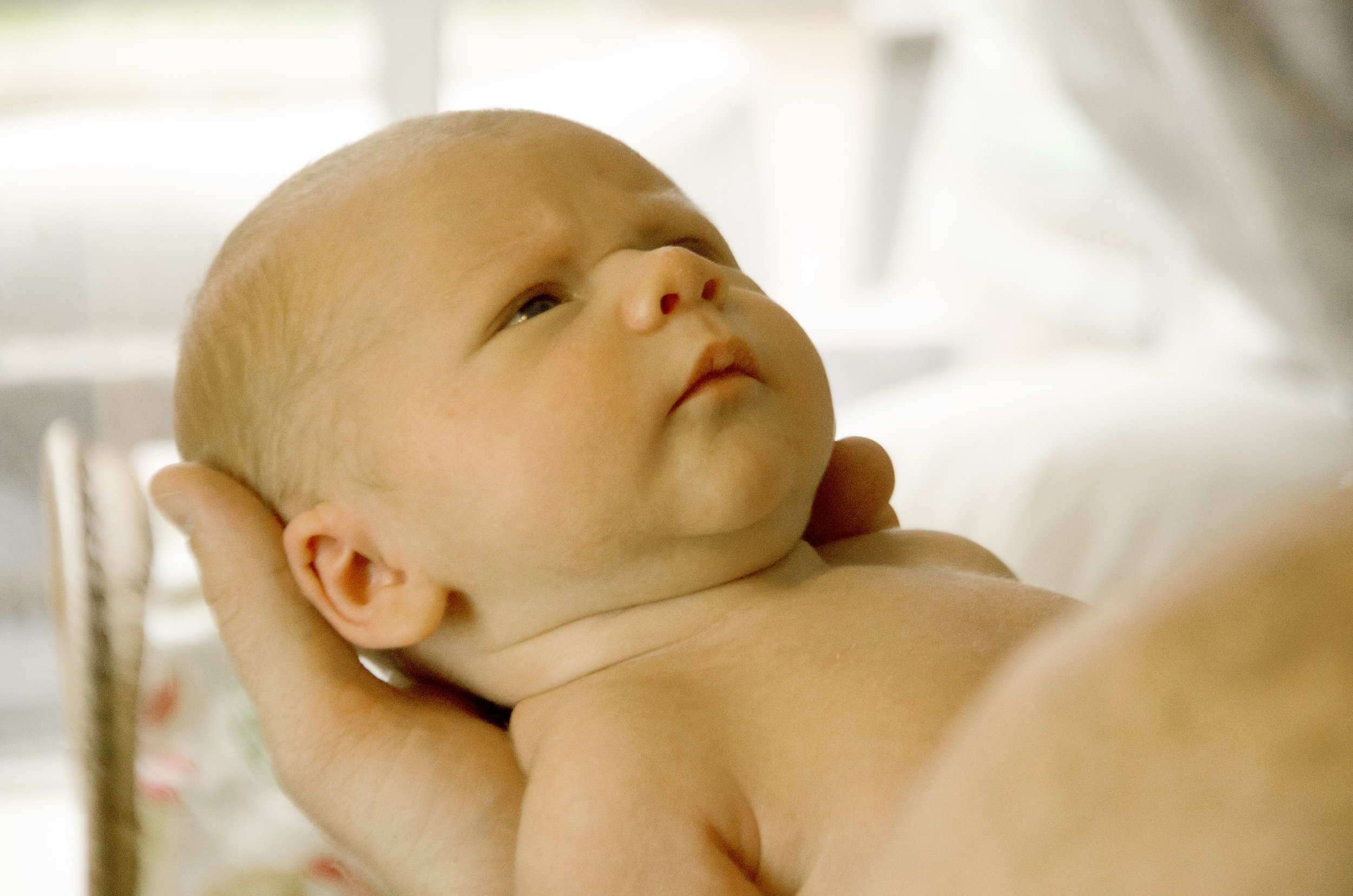 Vicki Newborn-JPG-0027.jpg