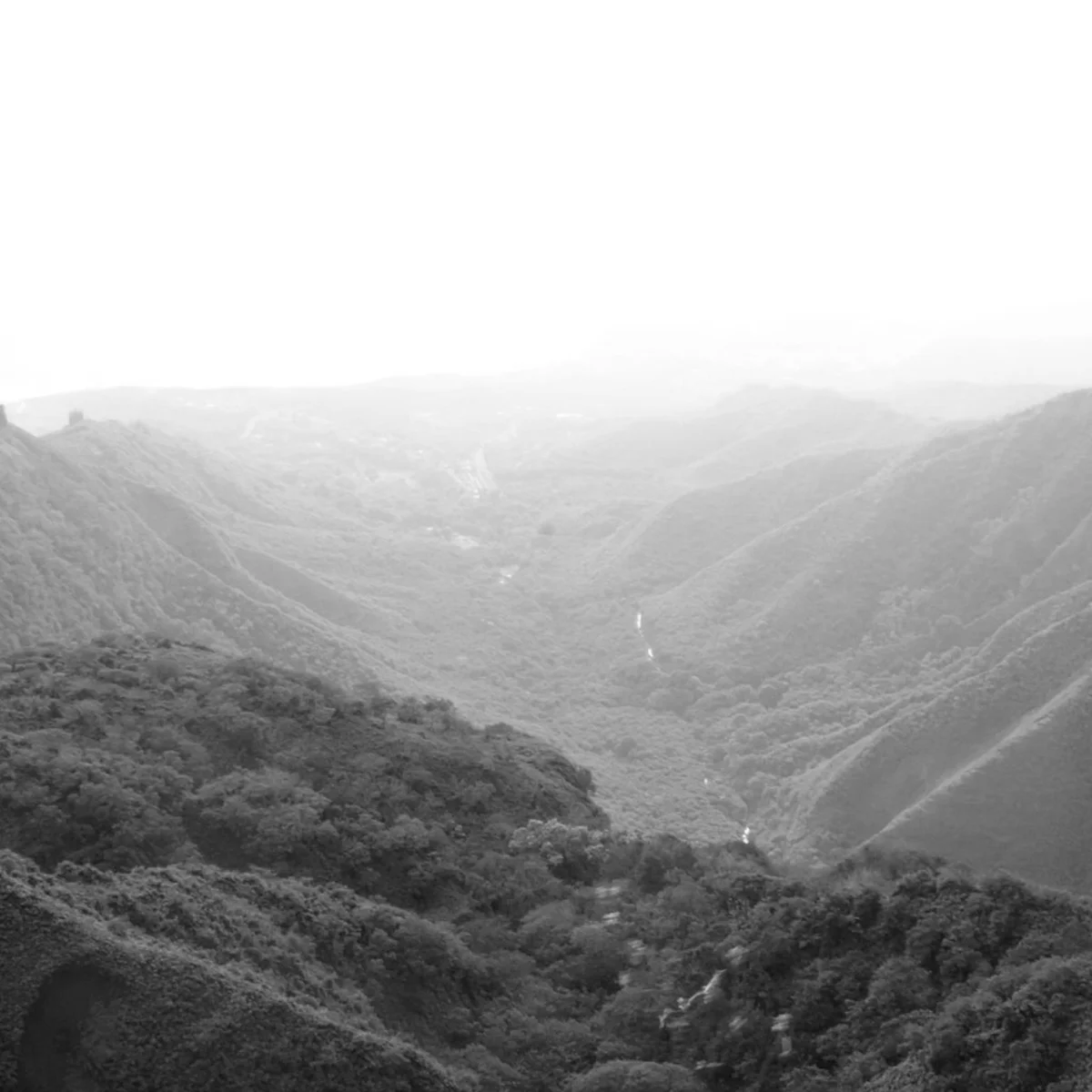 the brand aina bw.jpg