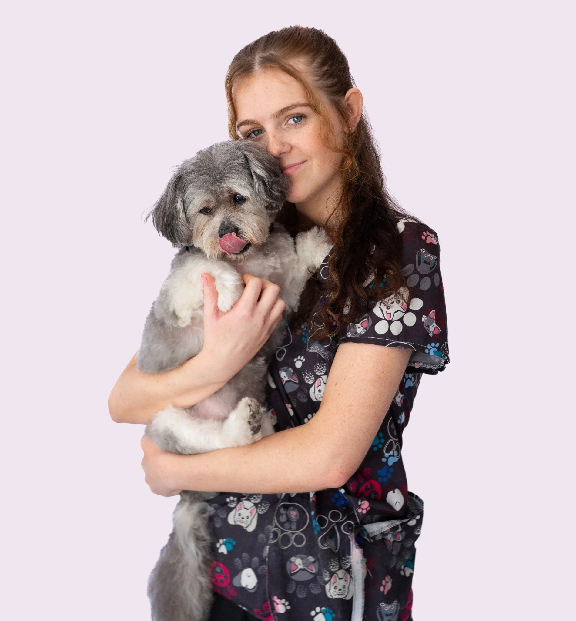 About | Stylist to the Dogs
