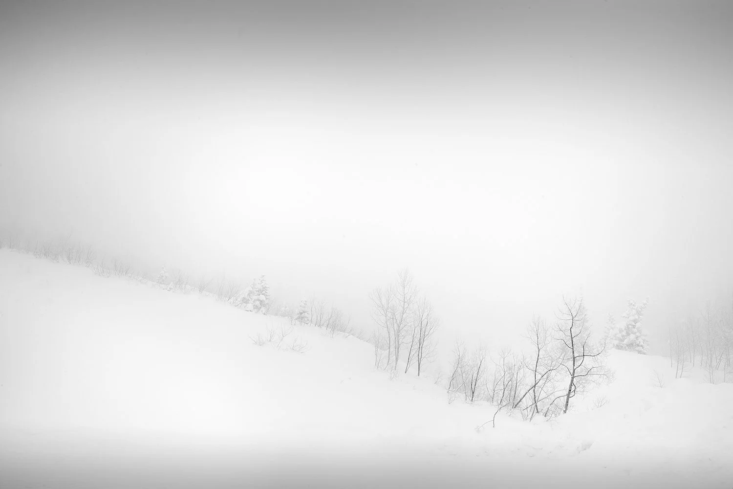 The Sound of Snow Falling