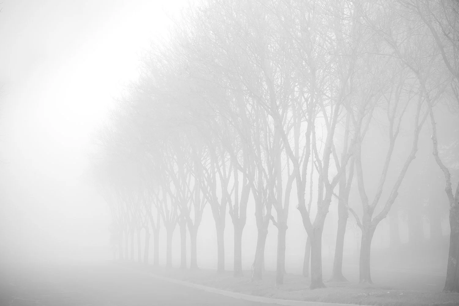 Processional, Study 2