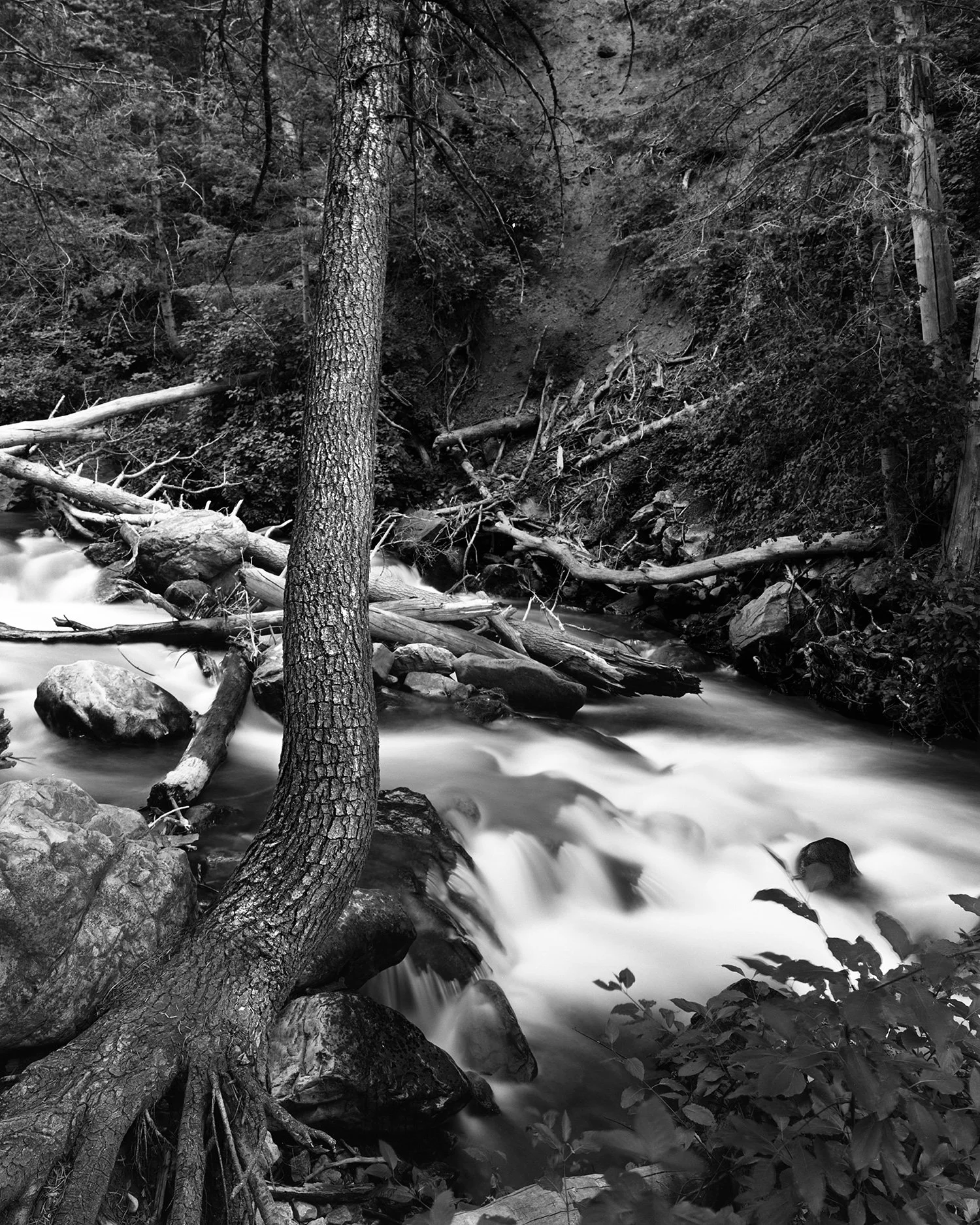 Tenacious, Little Cottonwood Canyon