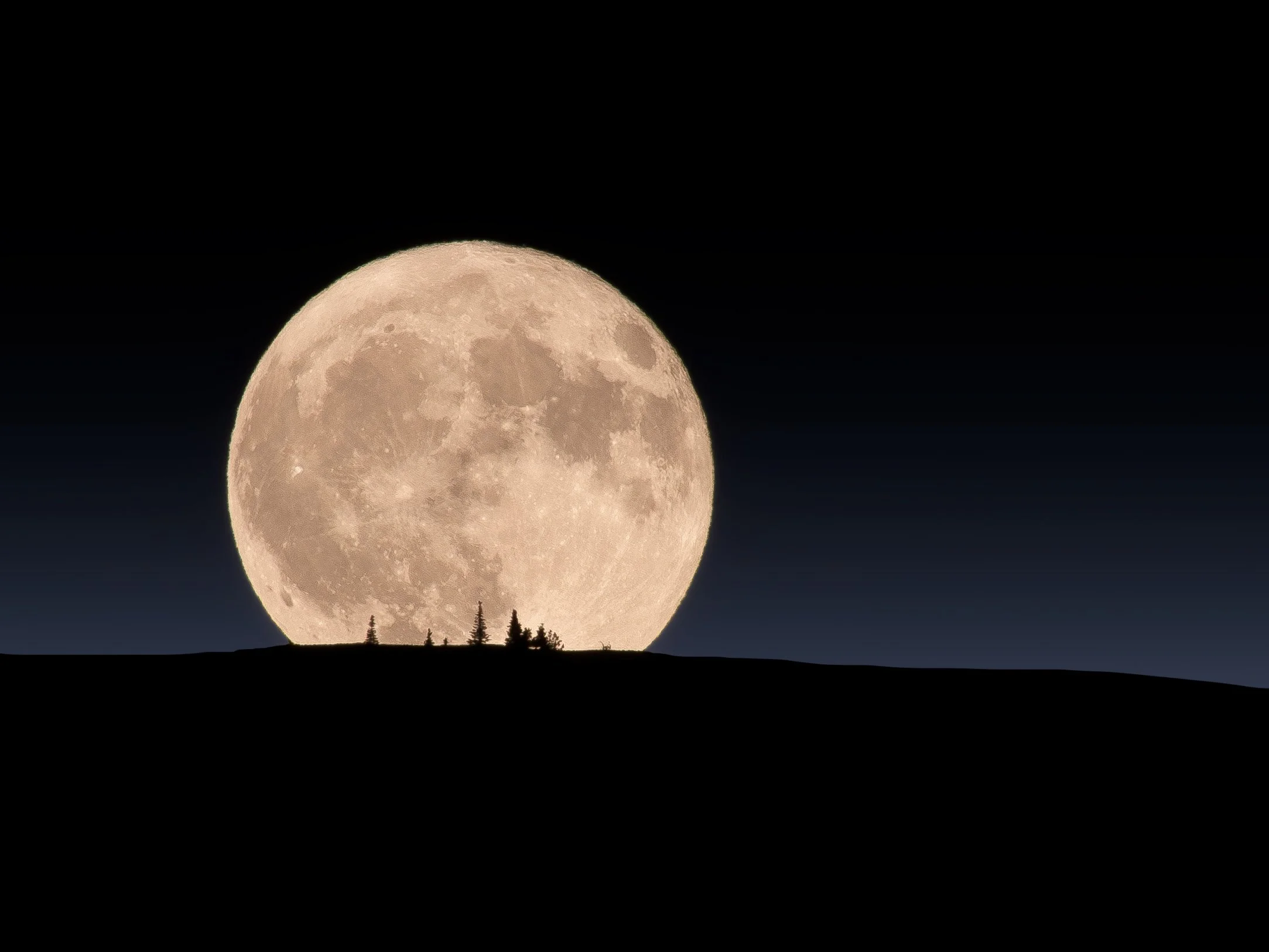 Full Moon Silhouette, Study 3