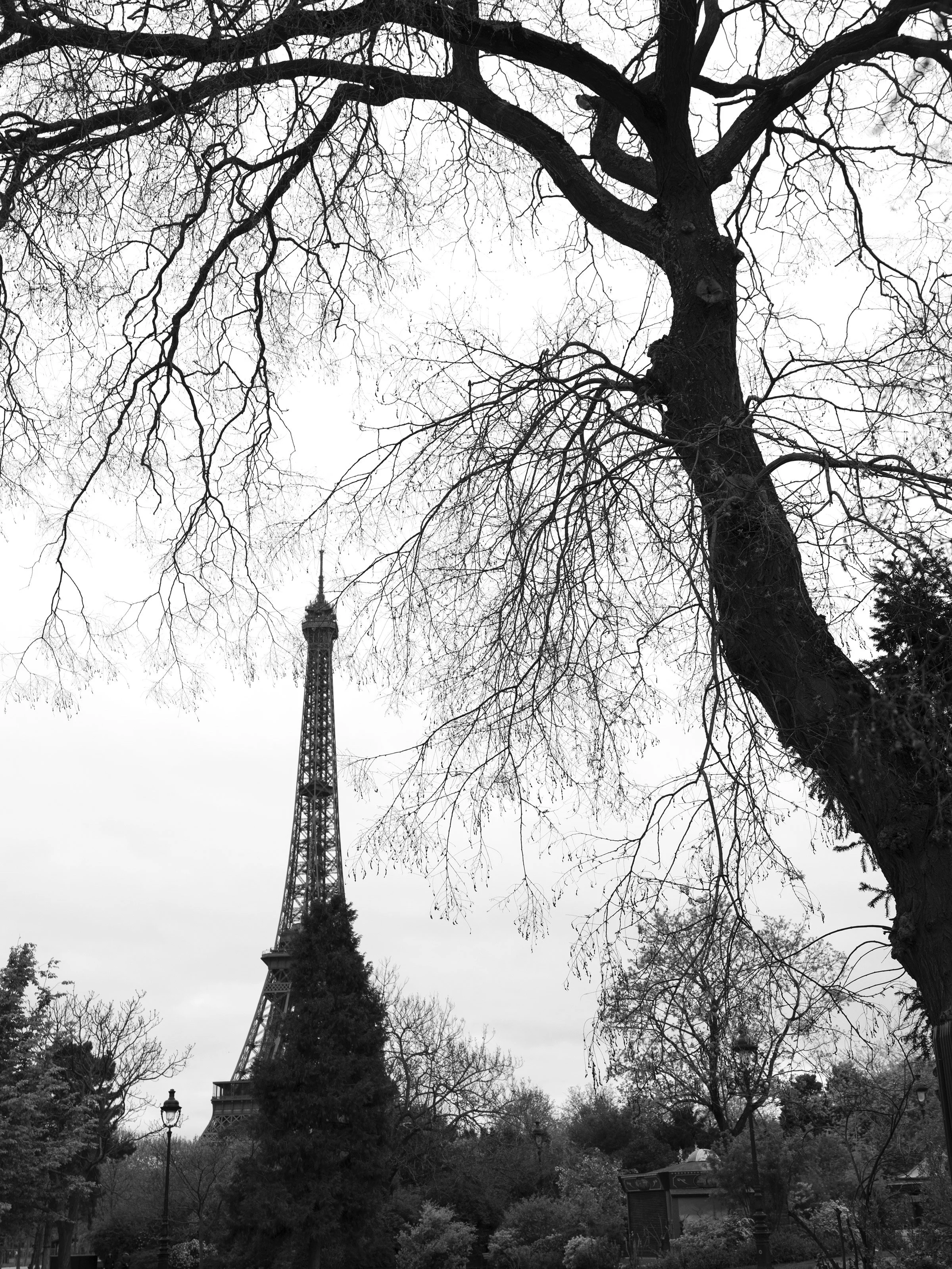 Eiffel Tower, Study 6