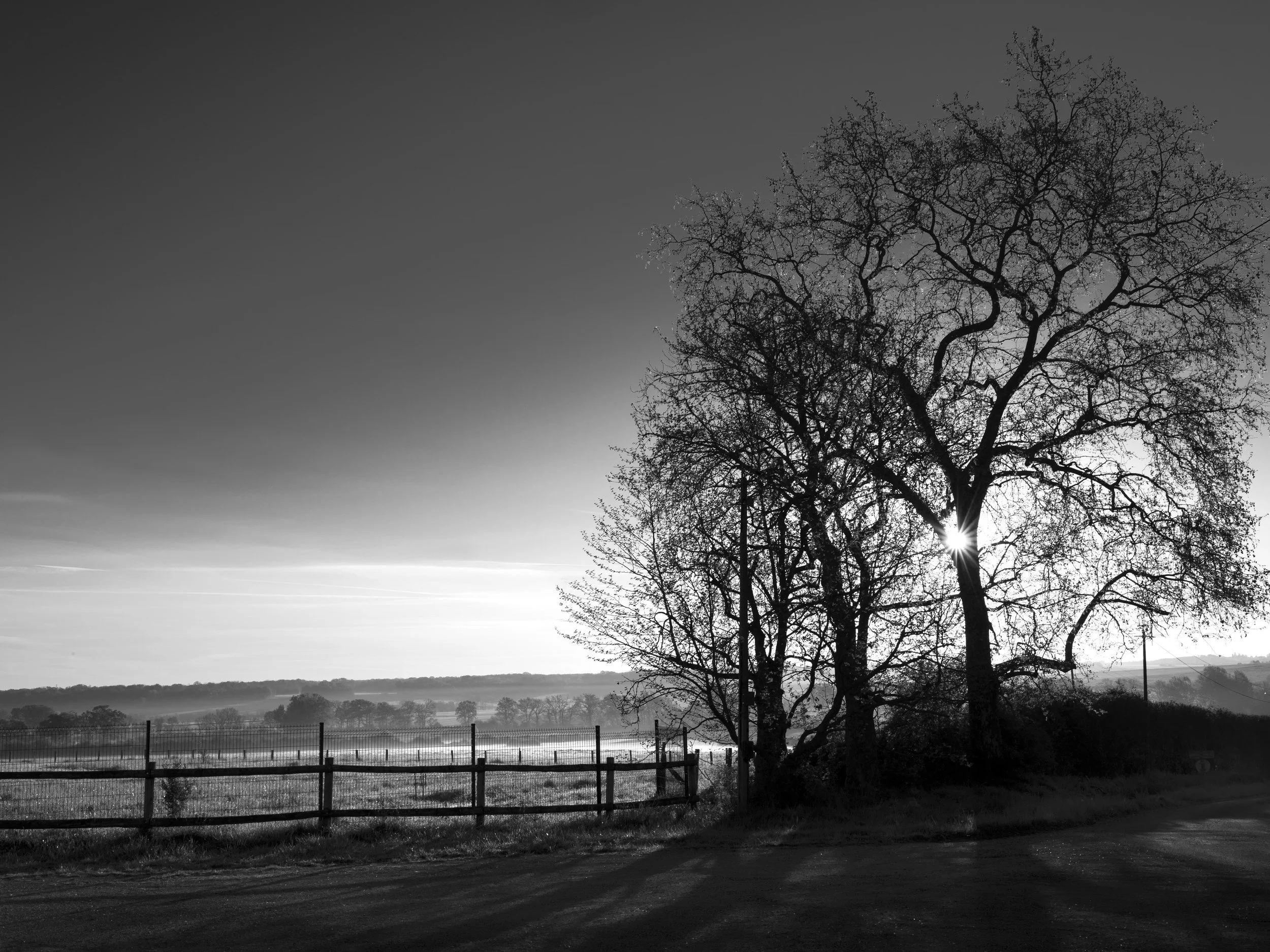 Sunrise, Burgundy