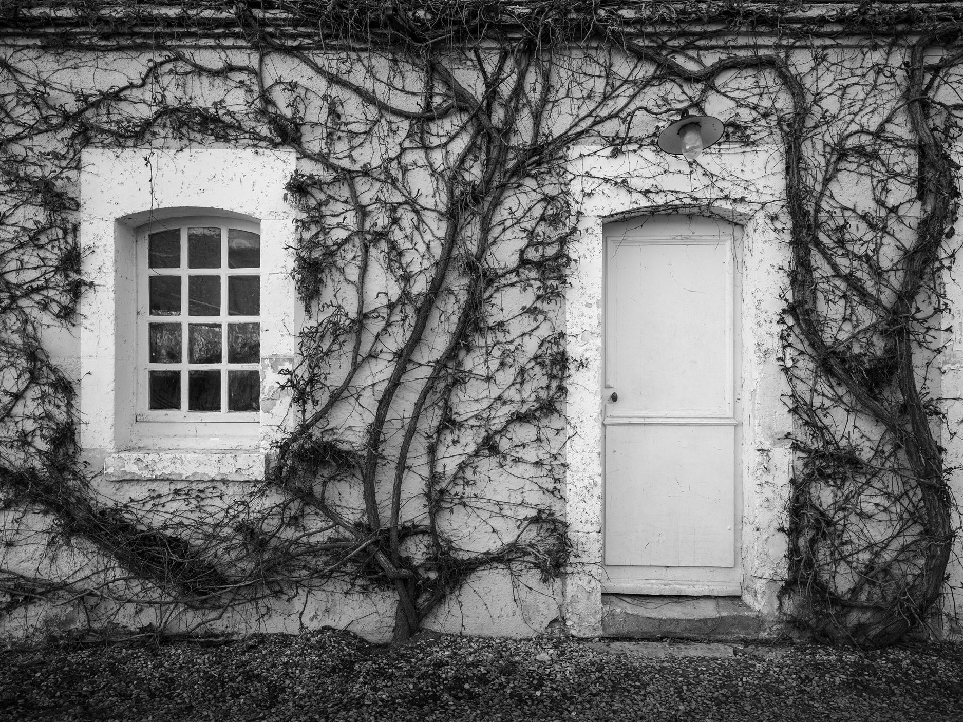Vines, Chateau de la Resle