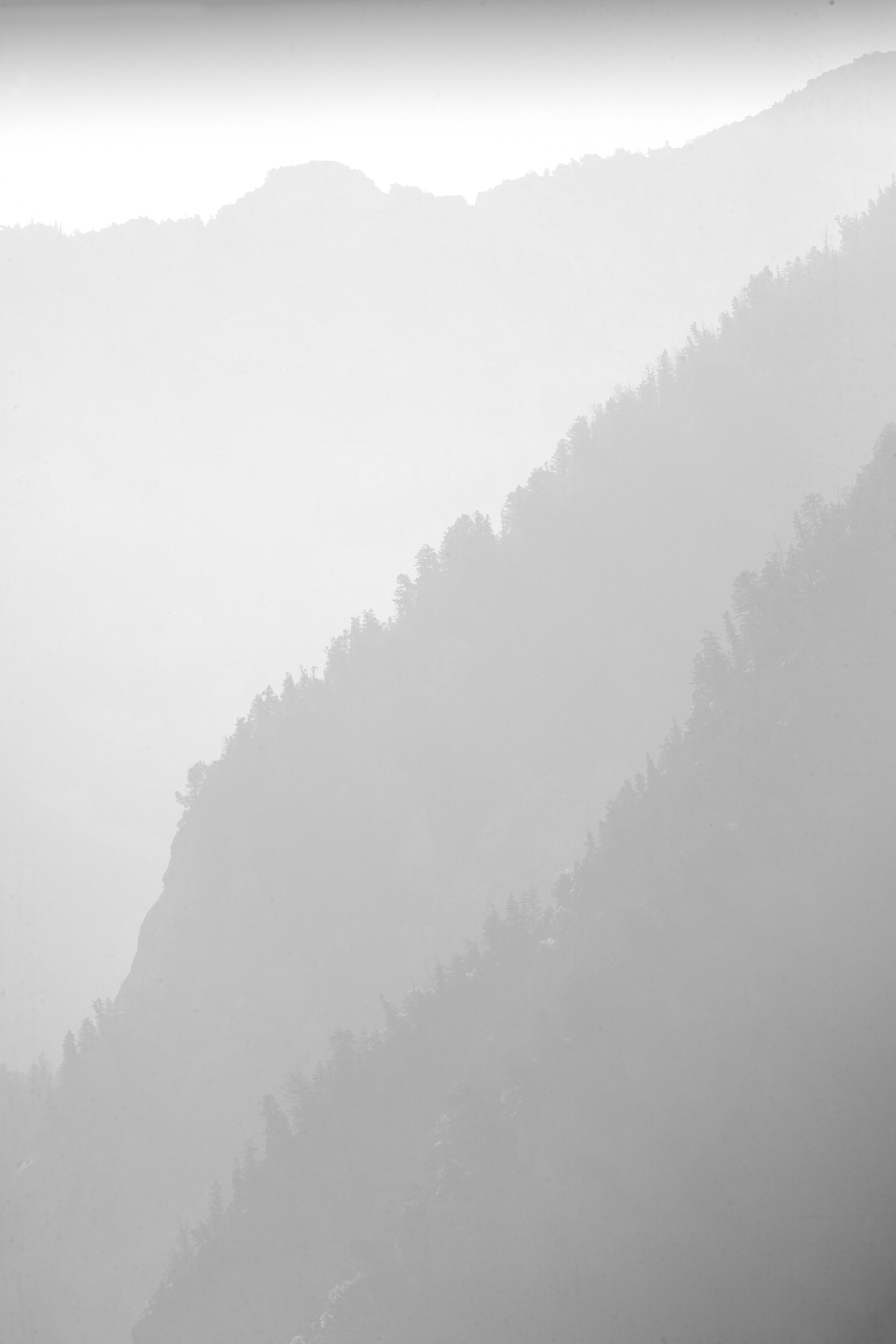 Wasatch Light, Study 2