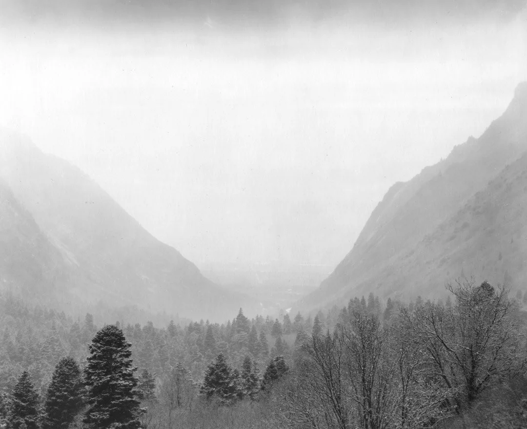 Light Snow, Little Cottonwood Canyon