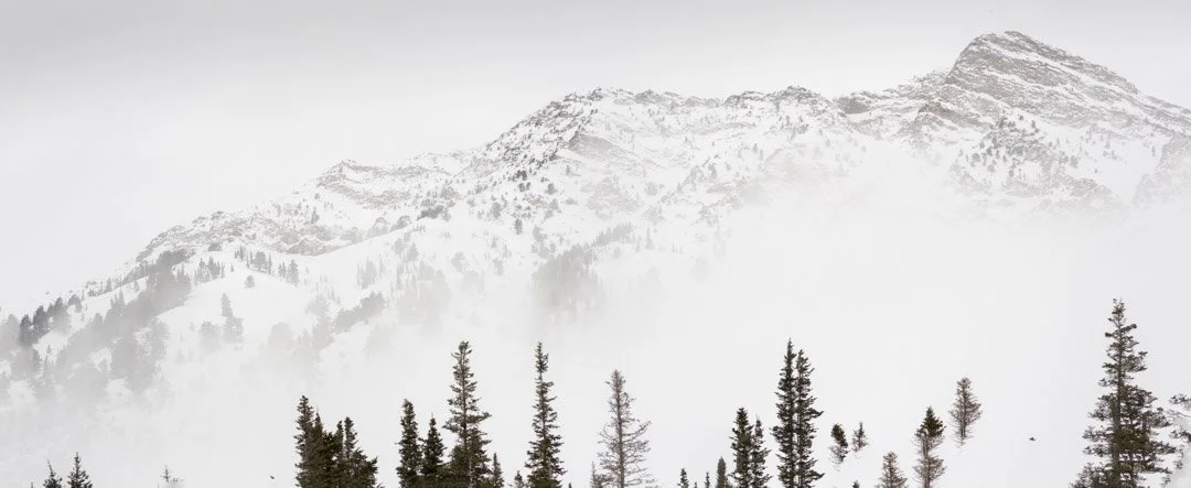 Winter in the Wasatch, Study 2