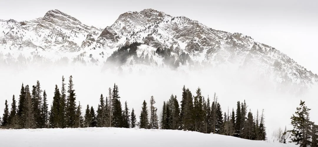 Winter in the Wasatch, Study 3