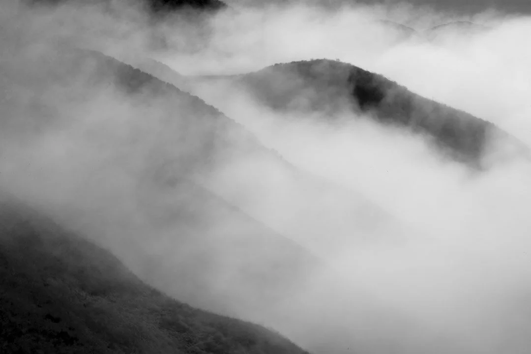 Rising Mist, Study 2