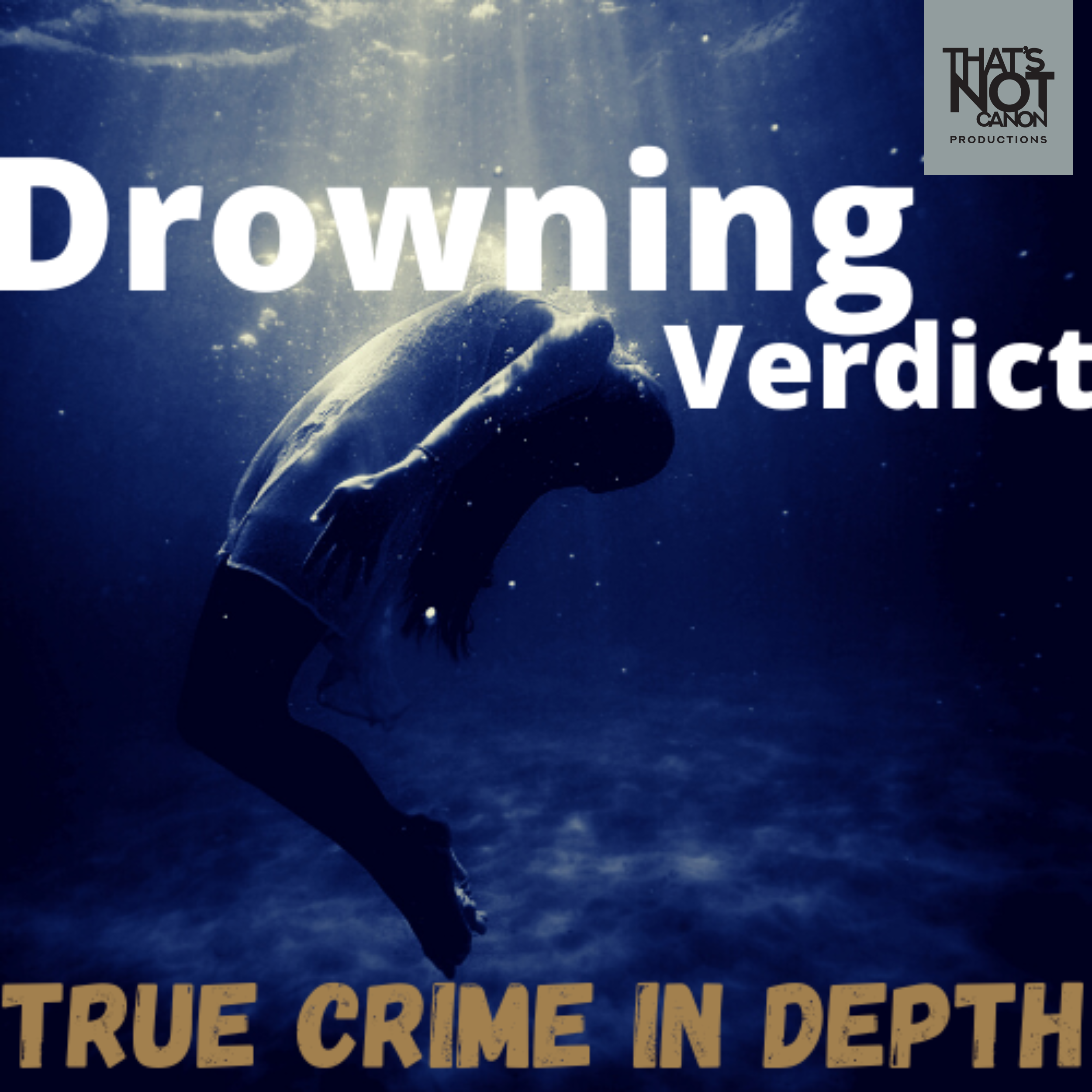 Drowning Verdict LOGO.png